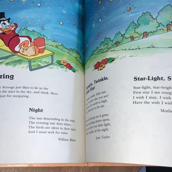 Disney Backyard Cruises vintage 1984 hardcover Book - Picture 12 of 16